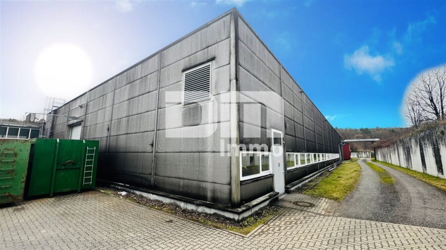 Gewerbeensemble Produktionshallen + Bürogebäude und umfangreiche Freiflächen - Halle 1 Rückansicht